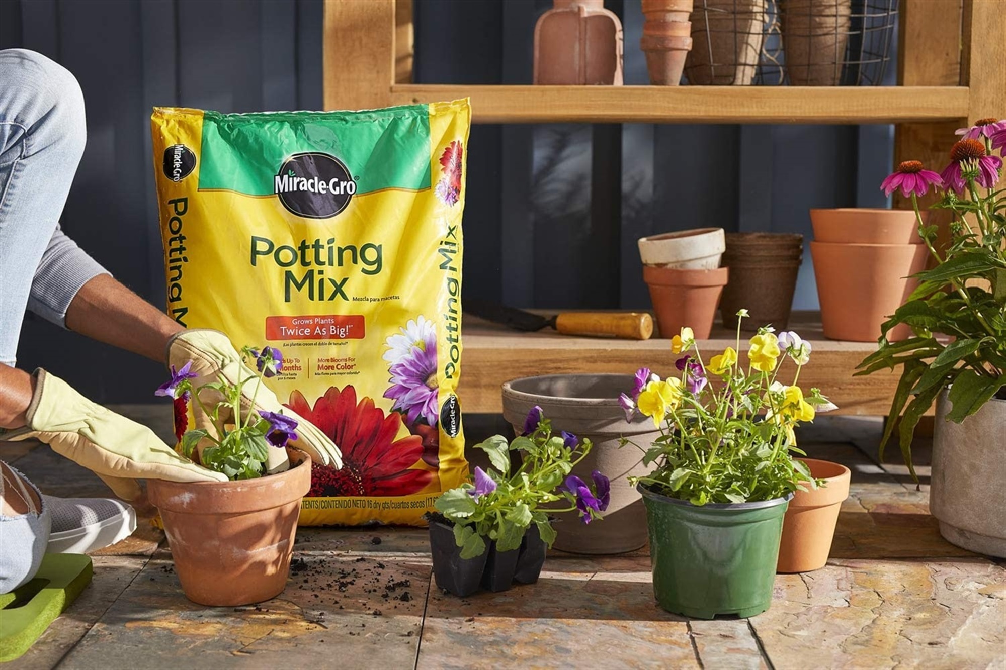【送無】GREAT MIX CULTURE SOIL【S】15L 1mm-6mm Miracle-Gro 6 Qt. Tropical Potting Mix - Anderson Lumber