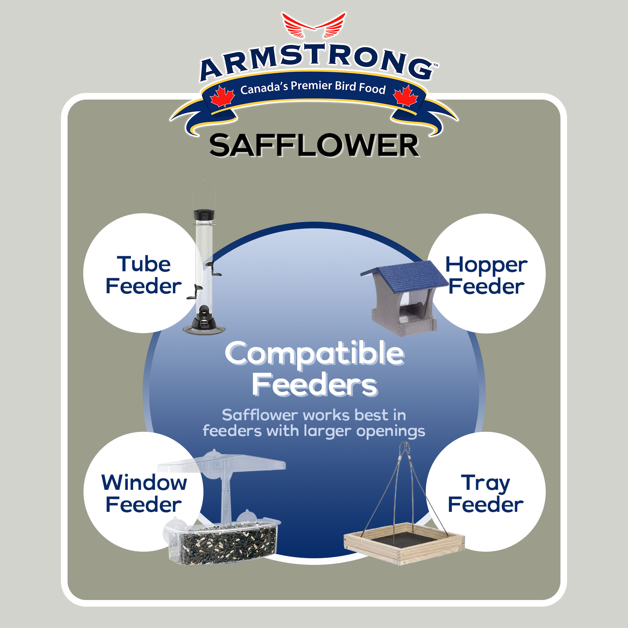 Armstrong Wild Bird Food Safflower Wild Bird Seed for High Energy, 20Lbs