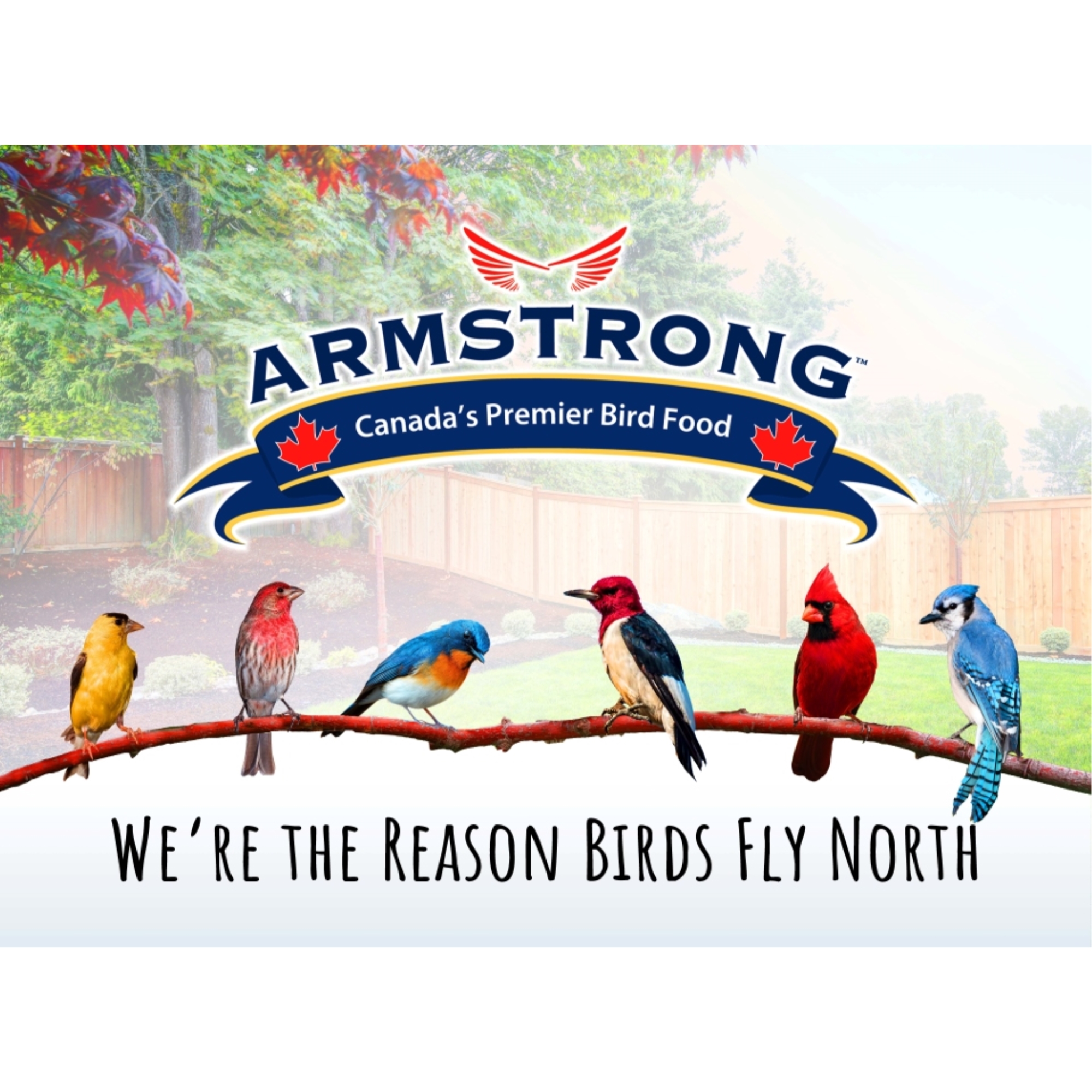 Armstrong Wild Bird Food High Energy Diet All Season Bird Seed Blend, 33Lb