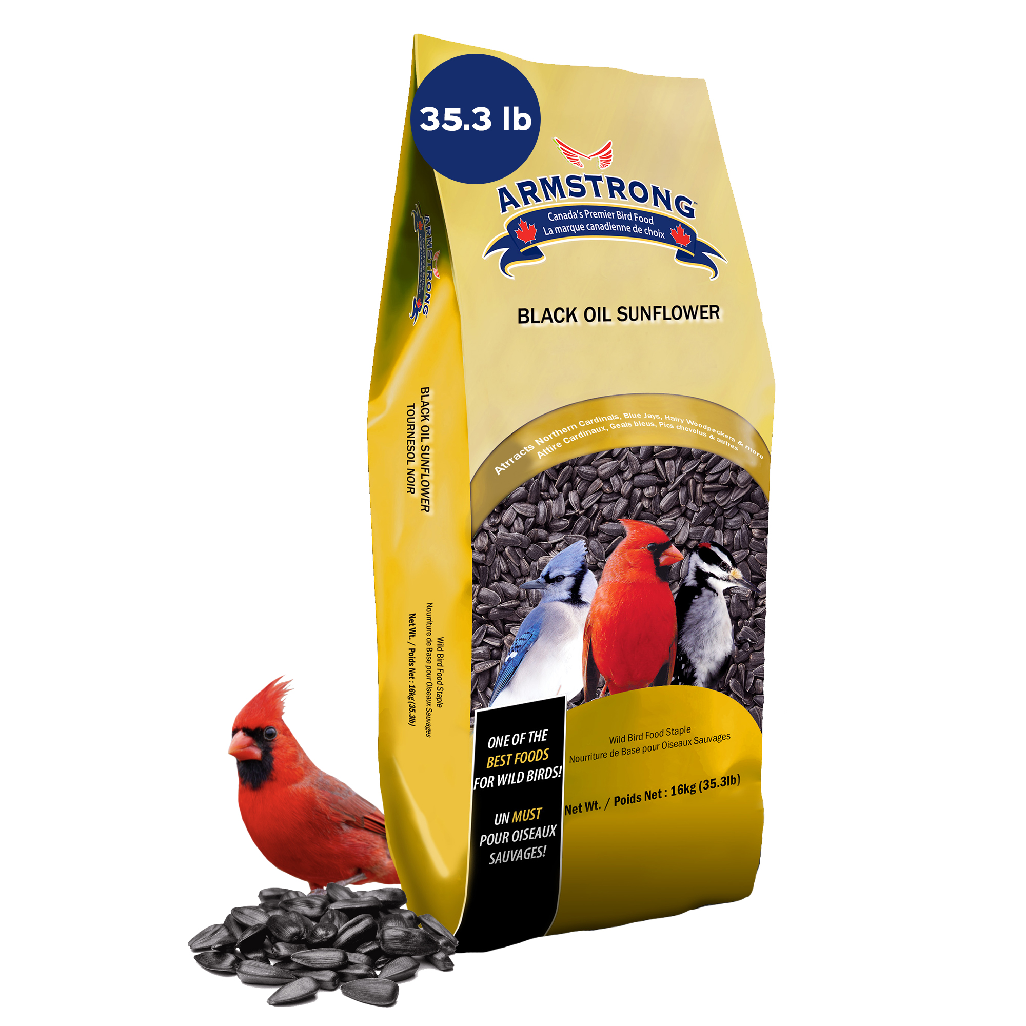 Armstrong Wild Bird Food Black Oil Sunflower Bird Seed, 35.3Lbs