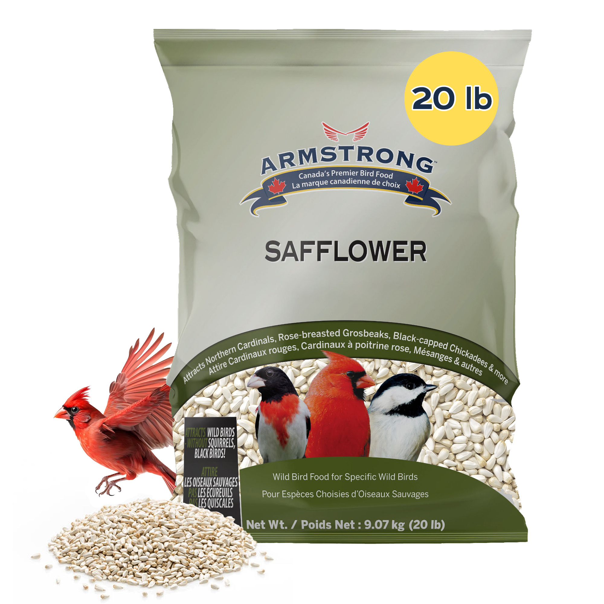 Armstrong Wild Bird Food Safflower Wild Bird Seed for High Energy, 20Lbs