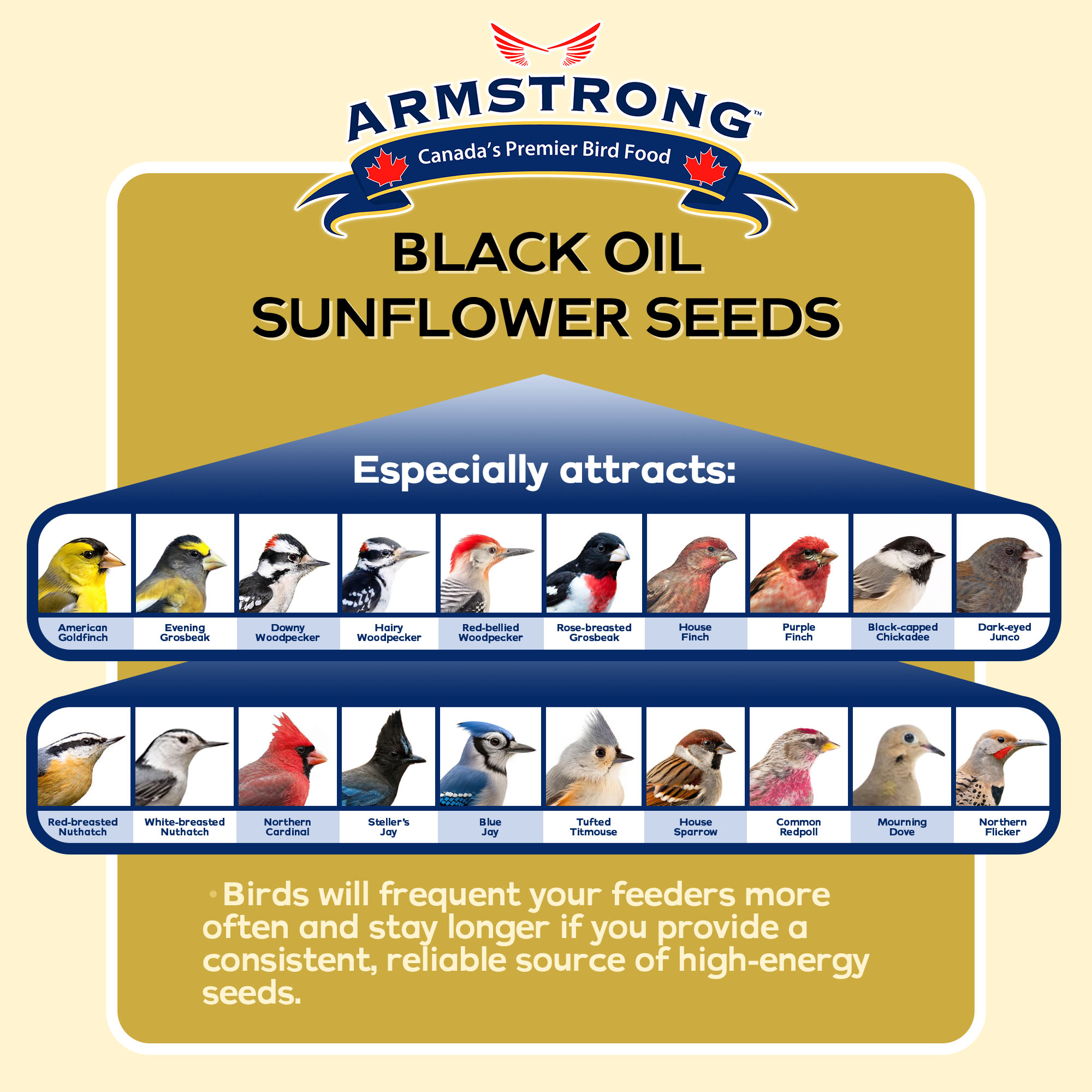 Armstrong Wild Bird Food Black Oil Sunflower Bird Seed, 35.3Lbs